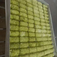 مدل زن در باقلوا نیازمندیم|استخدام صنعتی، فنی، مهندسی|تبریز, |دیوار