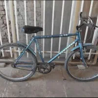 دوعدد دوچرخه