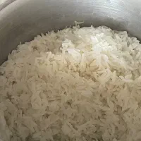 برنج هاشمی مستقیم از تولید کننده