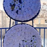 اجاره ،کرایه ی تاج گل مصنوعی خیریه ای تعدادتخفیف|خدمات پذیرایی، مراسم|تهران, دبستان|دیوار