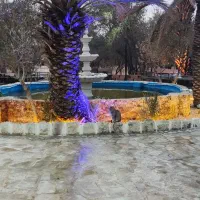 نیازمند کارگر با جای خواب در باغ