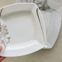 چینی ، ارکوپال، پلوخوری، خورشت خوری، مبوه خوری|ظروف سرو و پذیرایی|مشهد, گلبرگ|دیوار