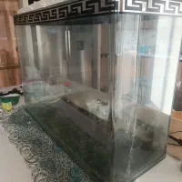آکواریوم 40در 80