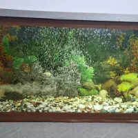 اکواریوم طول یک متر عرض پنجاههفتاد