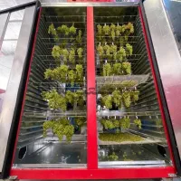 میوه خشک کن سبزی کنی صنعتی 60 سینی گازی * برقی|ماشینآلات صنعتی|اردبیل, |دیوار