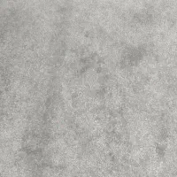 پالاز موکت جنس خوب اصلی متری 300 رنگ طوسی|موکت|کرمانشاه, |دیوار