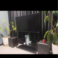 تلوزیون اسنوا