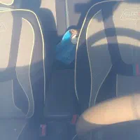 سمند EF7 مدل 92 عقب و جلو پلمپ|خودرو سواری و وانت|باغستان, |دیوار