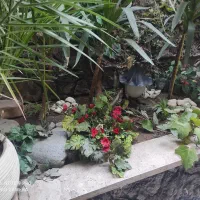 360 متر خانه ویلایی با استخر  جردن /قدرالسهم بالا