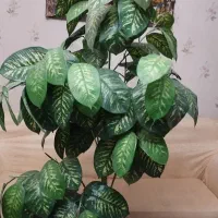 درخت مصنوعی انار و  درخت بنجامین|گل مصنوعی|تبریز, |دیوار