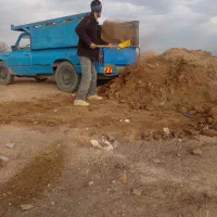 کود گاوی خشک و نرم