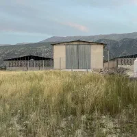 فروش مرغداری ۲۰۰۰۰ قطعه گوشتی