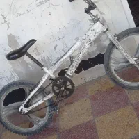 دوچرخه حرفه ای