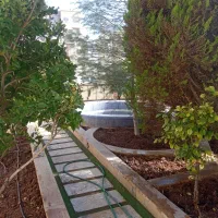 باغبانی خاکبرداری هرص سمپاشی وکود دهی انواع درخت