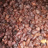 قیصی زردآلوکشمش شیره انگور دوشاب|خوردنی و آشامیدنی|مشگین شهر, |دیوار