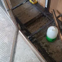 قفس پرنده گان|لوازم جانبی حیوانات|سلماس, |دیوار