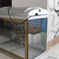 اکواریوم