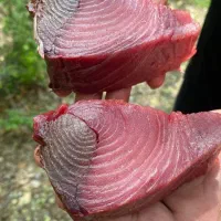 یادگار جنوب|ماهی|آبادان, |دیوار
