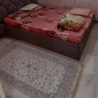 تخت دونفره لیزری چستر مخمل سالم  با ۲ کفی