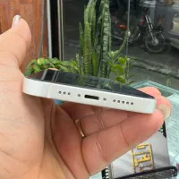 iPhone 13|موبایل|کردکوی, |دیوار