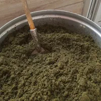 قورمه سبزی سرخ شده