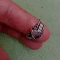 انگشتر شجر کار دست|جواهرات|کرج, فاز ۲ مهرشهر|دیوار