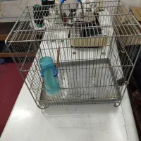 قفس سره آرمان