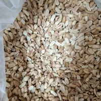 بادام زمینی کره گیری امسالی لوکس ایرانی