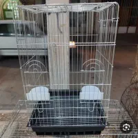 قفس ۱۰۳۳ ،قفس بزرگ