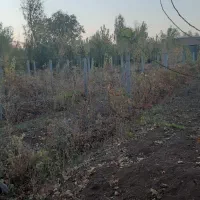 فروش باغ در جاده  توریستی دستاران|فروش دفتر صنعتی، کشاورزی، تجاری|خرمدره, |دیوار