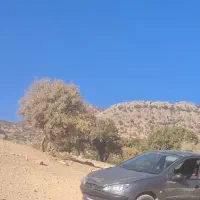 فروش 206مدل85 رنگ دلفینی