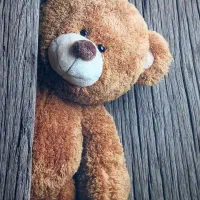 روتختی فانتزی میکرو|سرویس روتختی|قم, نیروگاه|دیوار