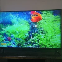 تلویزیون ۴۳‌شهاب