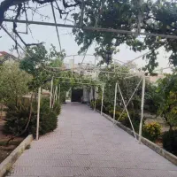 فروش باغ ویلا در افشاریه (توافقی)|فروش خانه و ویلا|هشتگرد, شهرک افشاریه|دیوار