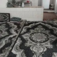 بانیان کوچه مسجد|فروش خانه و ویلا|فسا, |دیوار