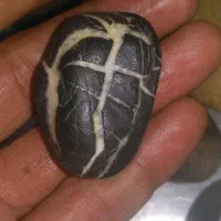 فروش سنگهای طبیعی ویترین|کلکسیون و سرگرمی|تهران, ابوذر|دیوار