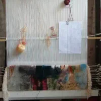 نیازمند همکار قالیباف خانم