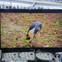 تلویزیون سامسونگ