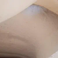 توالت فرنگی سیار|لوازم سرویس بهداشتی|هشتگرد, فاز ۷ مهستان|دیوار