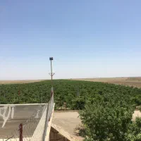 اجاره باغ انگور با ۲۰ ساعت اب چاه عمیق|اجارهٔ دفتر صنعتی، کشاورزی، تجاری|سبزوار, ابوریحان|دیوار