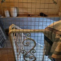 اجناس مغازه|فروشگاه و مغازه|اصفهان, باغ فردوس|دیوار