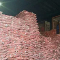 فروش عمده برنج پاکستانی ،هندی ،وتایلندی