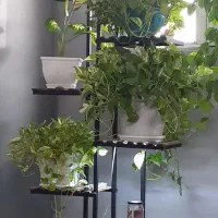 یک عدد استند  ۷ طبقه.  خوشگل