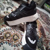 کتونی وولف ویتنام