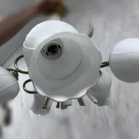 لوستر ۵ شاخه|لوستر و چراغ آویز|اهواز, کیانپارس |دیوار