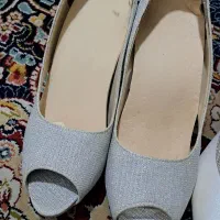 کفش مجلسی نقره ای