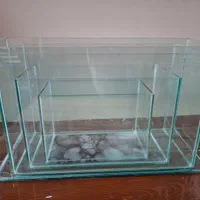 تولیدی آکواریوم زیر قیمت