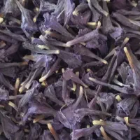 گل‌گاو‌زبان