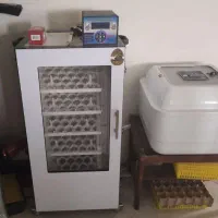 فروش دستگاه جوجه کشی تعمیرکالیبره دستگا جوجه کشی