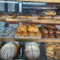 فروش کامل تجهیزات نان فانتزی در حال کار